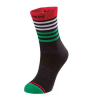 Calzini BRN Stripes Verde/ Rosso