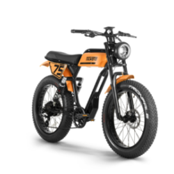 Trionfale E-Moto Fat Bike Elettrica 24" Italmoto